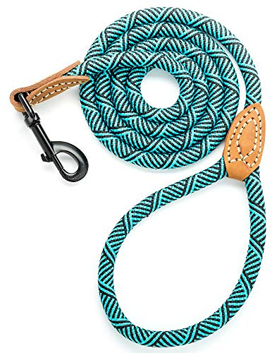 Mile High Life | Laisse pour Chien d'escalade avec Fermoir Robuste en métal Robuste | Connexion sur Mesure en Cuir véritable avec Coutures Solides (Vert, 1.5 M)