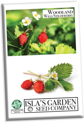 Strawberry Seeds, Woodland Wild Strawberry Fruit/Plant Seeds, 50 Strawberry Seeds Per Packet, Non GMO Seeds, (Fragaria vesca), Isla's Garden Seeds