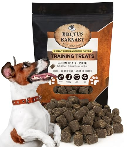 BRUTUS & BARNABY Training Treats for Dogs - Peanut Butter & Banana - All-Natural Healthy Low Calorie Vegan Treat - Great to Use for Rewards in Training Your Puppy Or Dog