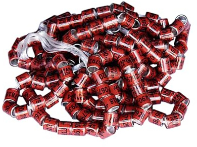 Ruwshuuk Anelli per piccioni 2025 – Anelli per piccioni, 50 pezzi – | Generic Pigeon Supplies – Anelli per piedi degli , per pappagalli da corsa, pulcini, anatre