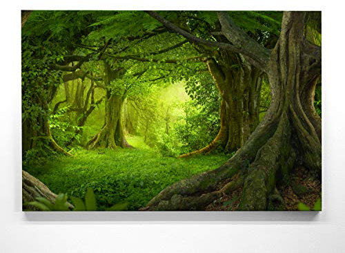 EIN Atemberaubendes Bild – Wald wie gemalt - als 120x90cm große XXL Leinwand. Tolles Wandbild als Hintergrund und Deko für Wohnzimmer & Schlafzimmer. Fertig aufgespannt auf 4cm Holz-Keilrahmen