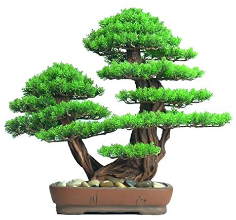 SUNESA Kunstpflanze Künstlicher Bonsai-Baum, Zypresse, Simulation, willkommen, Kiefer, Bonsai, Wohnzimmer, Teestube, Eingang, Tischdekoration, gefälschte Kiefernbaum-Ornamente Künstlicher Bonsai-Baum