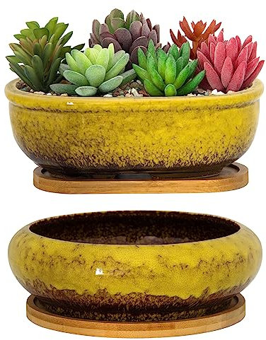 ARTKETTY Vasi per piante grasse, vasi in ceramica per piante grasse con vassoio di drenaggio in bambù, 1 vaso da fiori rettangolare + 1 vaso rotondo per cactus bonsai da interno (giallo)