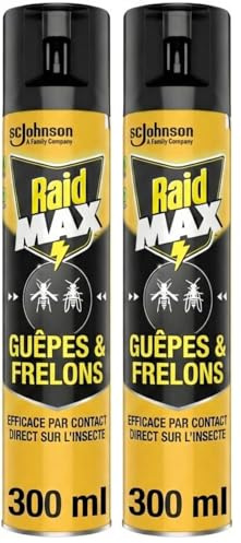 Raid Max Aérosol Guêpes et Frelons - Elimine les Guêpes et Frelons Isolés - 1 Aérosol (Lot de 2)