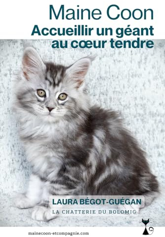 Maine Coon : accueillir un géant au cœur tendre: Les conseils d’une éleveuse pour une adoption réussie