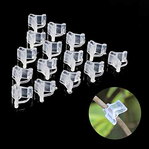 Candeon Veredelungsclips Für Tomaten, 100 Stück Pflanzenclips Transplantationsclip Pflanzenklammern Mini Pfropfclip Für Veredelung Von Tomaten, Auberginen, Gurken Setzlingen, Gartenpfropfwerkzeug