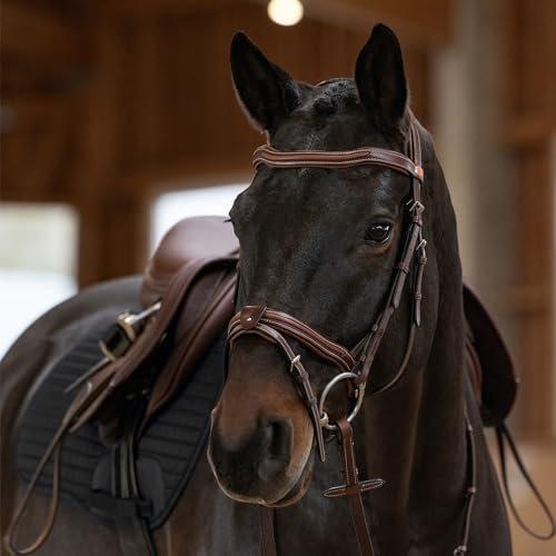 Kieffer Trensenzaum PALMANOVA Chestnut/Chestnut unterlegt braun mit Zügeln, Größe Pferd:VB