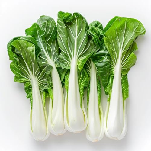 300 Pak Choi Chinese Cabbage Seeds - SemiSauvage Permaculture