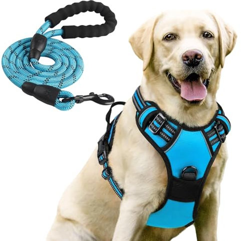 Mittleres Hundegeschirr mit Leine, Anti-Zug Sicherheitsgeschirr, Atmungsaktiv
