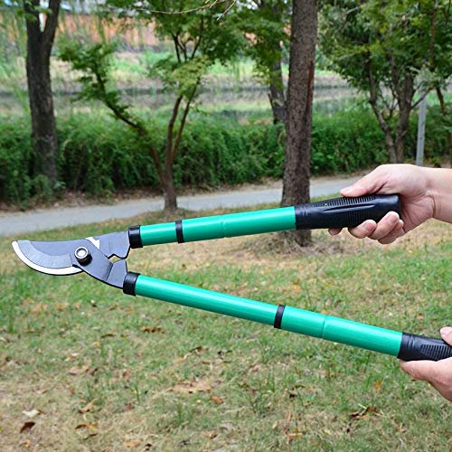 Potatore Potatore Cesoie 60 cm Telescopico Potatura Troncarami Giardinaggio Cesoie per Alberi Potatore Rami Trimmer Strumento di Taglio Arbusti Taglio Recinzione Cutter Forbici per la potatu