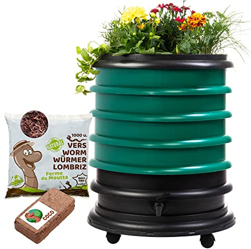 WORMbox | Lombricomposteur 4 Plateaux Vert Foncé + 500gr de vers de Compost + 1 Bloc Coco | 64 litres | Compostez Vos déchets organiques, Les vers de Terre/lombrics produisent du lombricompost