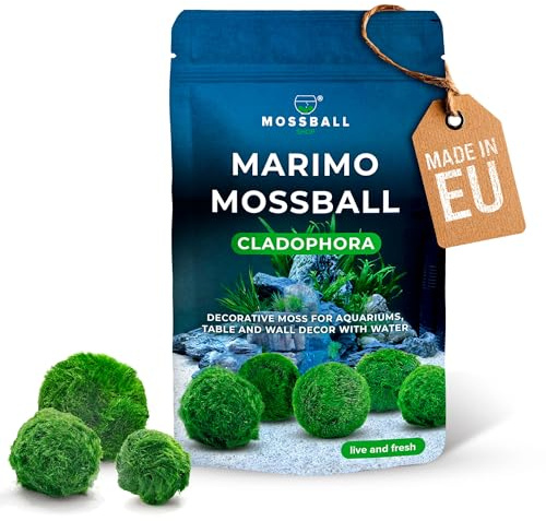 6 Stk Moos Aquarium Moos Echt - Mooskugeln Für Aquarium Echt Cladophora Natürliche Wasserpflanzen Für Nano- Und Große Aquarien - Umweltfreundlich Und Nachhaltig Marimo Moss Balls Gr. 2-3 Cm
