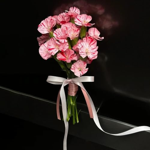 semillas de clavo, 200pcs