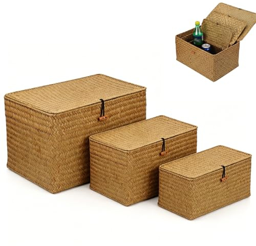 Cestas de Mimbre con Tapas, Paquete de 3 Cestas de Mimbre con Tapas, Contenedores de Almacenamiento de Hierba Marina Tejidos a Mano, para Cocina, Organizador de Escritorio y Hogar(S, M, L)