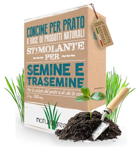 B4GREEN Concime Starter per Prato Semina e Trasemina (100m²) – Concime Starter Prato ad Alto Fosforo, Fertilizzante per Prato con Germinazione Rapida e Radici Forti 2kg