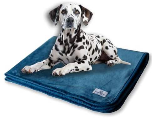 Giesty Hundedecke, Haustier Decken kuschelweich, Decken für Hunde Wasserdicht, maschinenwaschbar, beidseitiger Sofabezug-Schutz (Blau, L (100x74cm))