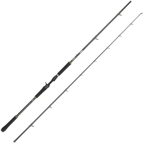 Abu Garcia Beast X Casting Rod, Freshwater Angler Fishing Pike Perch & Zander, Strong Leightweight & Versatile, Green, 2.54m Fast Ambidextrous Rod