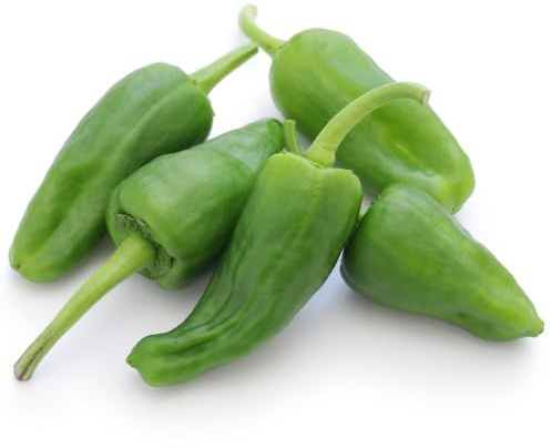 Graines BIO de Pimientos de Padrón – piment doux à semer type espagnol | 25 graines pour potager balcon serre | graines potager bio Love my Nature