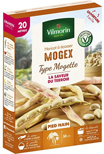 Vilmorin - Graines de Haricot à écosser Mogex type Mogette 20 mètres