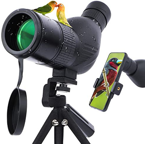 Neueste 12-36x50mm Compact Micro Spektiv - bewegliches wasserdichtes Spotter Scope mit BAK4 -Einblick für Vogelbeobachtung Jagd Zielschießbogenschießen Outdoor-Aktivitäten