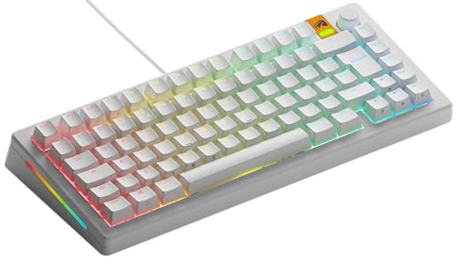 GLORIOUS GMMK 3 Custom Mechanical Keyboard (Black) | Premium Modular Gasket System, Hotswappable 5 Pin Switches, Doubleshot PBT Keycaps, Standard Aluminum Switch Plate