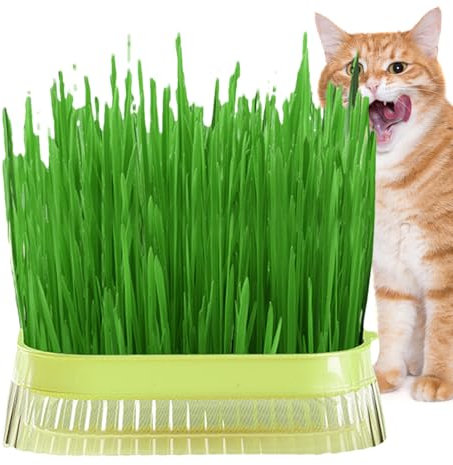 Novent Katze Grass Pflanzer Box, Katze Gras Pflanzkasten | Pflanzgefäß für Katzengras - Hydroponische Katze Graspflanzen, erdfreies Kulturkeimtablett für Indoor-Anbau, Keimschalen mit hydroponischen