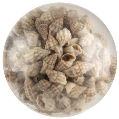 Clayre & Eef Türknauf Ø 5x4 cm Beige Glas Muscheln
