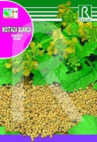 Semilla Mostaza blanca - Rocalba