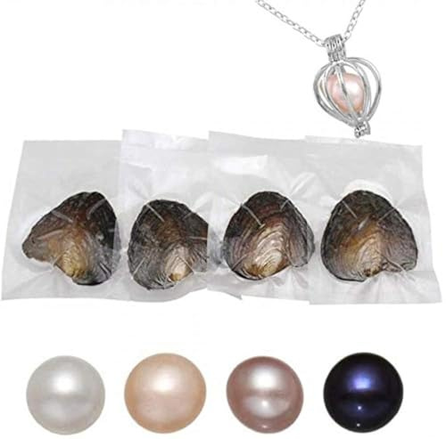 Ostras de agua dulce con cuentas redondas en varios colores brillantes y significativos, con cuentas en el interior y collar de bricolaje como regalo para mujeres (7-8 mm/4 piezas)