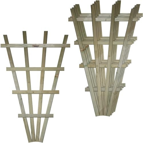 Small Fan Shaped Pack of 5 2x3ft (W: 2ft x H: 3ft) Frameless Decorative Lattice Trellis Panel Plant Grown Wall/Fence Art with Large Standard Squares Width 610mm x Height: 990mm