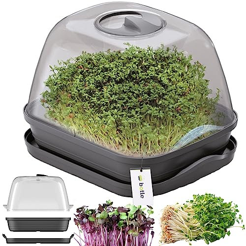 Mini invernadero de cultivo, color antracita antracita, 25,7 x 18,5 cm, jardinera con tapa, jardinera elevada, maceta para cultivar verduras, gardering plántulas, jardín urbano fresco en casa