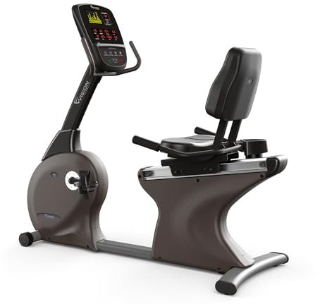 Vision Fitness Fahrradtrainer R60, Magnetisch, Braun, Aluminium, 8 Widerstandsstufen, Innenbereich