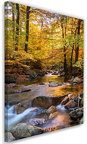 Feeby Vlies Leinwandbild Wald Bäume Pflanzen Natur 40x60 cm Wanddeko Design Kunstdruck Zimmerdeko Bilderwand Kaskade Herbst Waldstrom Steine Orange