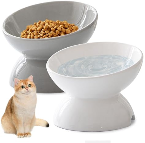 Katzennapf Erhöht - 2 Stück Futternapf Katze Erhöht, Erhöhter Katzennapf Keramik, Kipphals-Schutzschale Katzen Futternapf, Katzennäpfe Perfekt für Katzen, Welpen Kleine Hunde