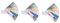 Angoily Colori 3 Set Carta Dei Colori Campione Vernice Vuote Wallpaper Wall Paper Strumenti Dei Colori Della Vernice Sicure