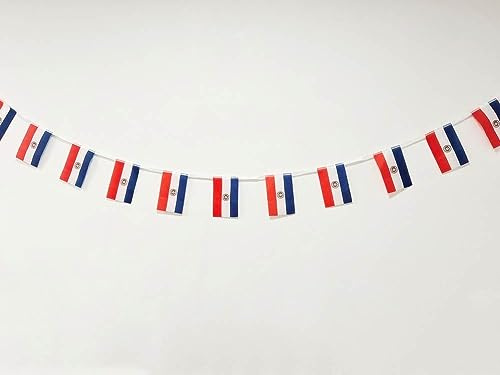 Bandera de Paraguay - 40 Unidades, Guirnalda 11.4M, Banderines Nacionales 14 x 21 cm