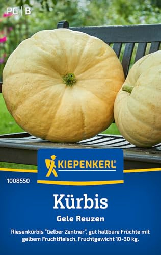 Kiepenkerl Kürbissamen Gele Reuzen 1008550, Gemüsesaat | Fruchtgewicht 10-30 kg, Wuchshöhe 50-60 cm, für Freiland & Topf
