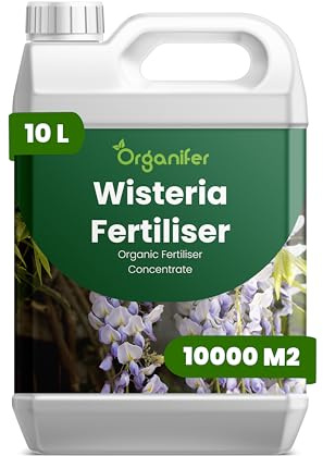 Fertilizzante Liquido Per Glicine - 10L - NPK 2-1-8 | Concime Per Fioritura Elegante E Fogliame Sano - Rafforza Radici E Crescita Sana - Organifer