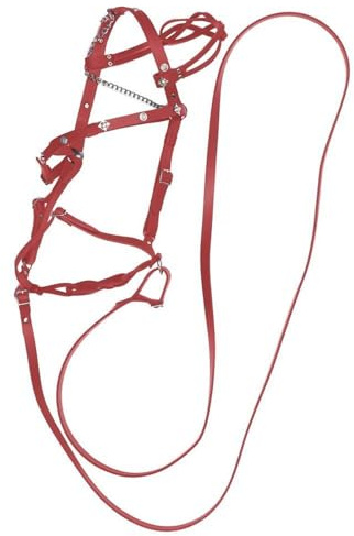 DSFIHJO Halfter Für Pferde Pferdehalfter und Führstricke PU-Lederhalfter mit Verstellbarer Metallschnalle Ergonomisches, Komfortables, uneingeschränktes Reiten(Red)