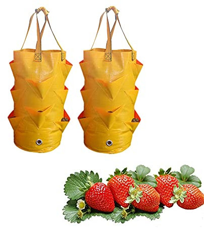 YGMXZL 2 PCS Erdbeeren Pflanzen Tasche,Pflanzen Grow Tasche mit Griffe 8 seitliche Wachstumstaschen,Pflanztaschen für Blumen, Pflanzen, Gemüse,3 Gallon (Gelb)