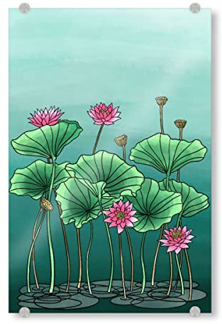 artboxONE Acrylglasbild 120x80 cm Natur Lotus I Bild hinter Acrylglas - Bild Lotus Flowers Lotus