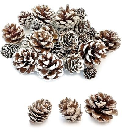30 Stück Weihnachten Tannenzapfen, natürlichen Schnee Tannenzapfen Deko, Tannenzapfen für Weihnachtsbaum, Geschenk-Tag, adventskranz, vasenfüller, Kränze, Xmas DIY Crafts Home Dekorationen