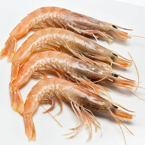 Gamba Blanca de Huelva Fresca - Pescadería Premium - 1 kg Pescado y Marisco Fresco de Lonja - Cosecha Privada (1 Kg, Gamba Blanca)
