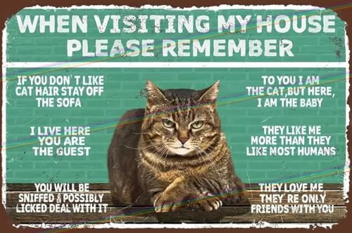 p&p homeware Funny Cat Metal Bar Sign Father's Day Man Cave Tin Retro Hanging Wall Plaque Kitchen Shed Vintage Pub Garage signs X Large (30cm x 20cm)