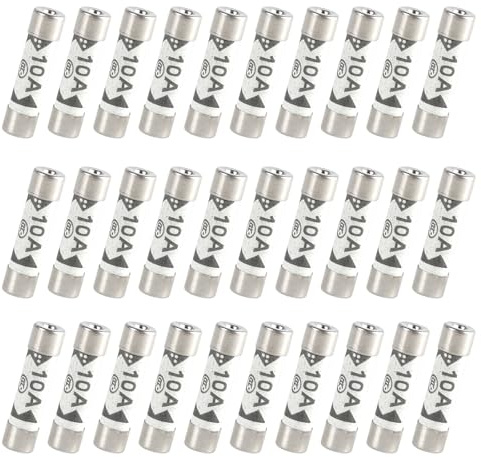 Lot de 30 fusibles tubulaires en céramique 10 A haute performance pour une utilisation domestique sûre