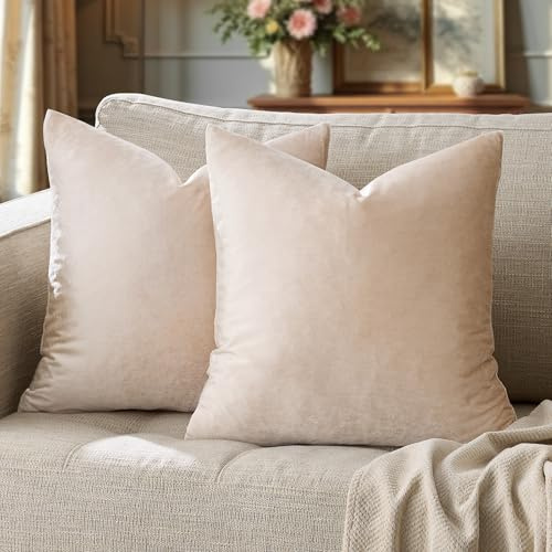 GIGIZAZA 2er Set Champagner Kissenbezug Samt Kissenbezüge Dekorative Kissenhülle Sofakissen Zierkissen deko Dekokissen für Wohnzimmer Schlafzimmer Sofa Auto 45cmx45cm