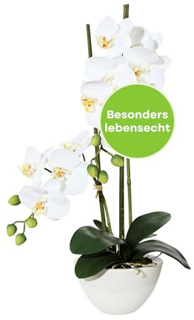 CREATIV green stilvolle Phalaenopsis Kunstorchidee 50cm in weiß I künstliche Orchideen wie echt mit Keramikschale in 14,5x8,5cm & naturgetreuen Blüten I Real Touch täuschend echte Kunstblumen