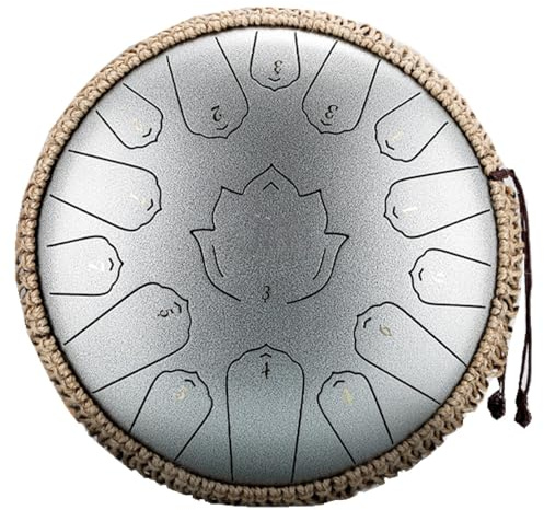 Steel Tongue Drum 13 in 15 Noten Tongue Drum, D-Dur, Outdoor-Regentrommel mit Tragetasche, Musikbuch und Hand-Trommelstöcken (Silber)