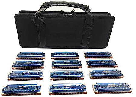Mundharmonikas 12 Diatonische Mundharmonika-Set Mit 12 10 Löchern, Diatonische Harfe, Mundharmonika-Set, 12 Tasten (Color : Blue)