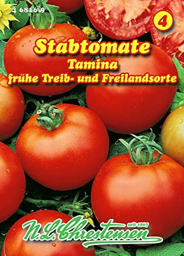 Stabtomate, Tamina früh N.L.Chrestensen Samen 468169-B